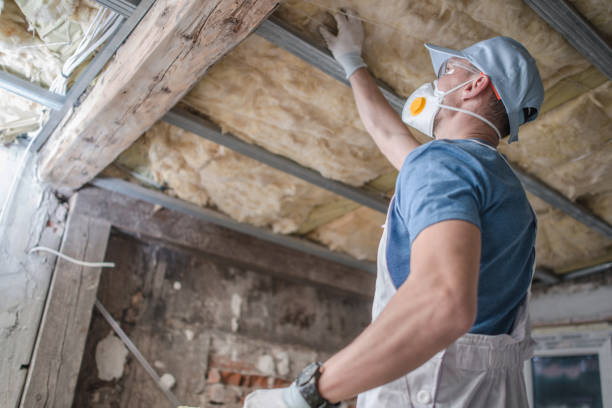 Best Energy Efficiency Insulation in Camden, AL